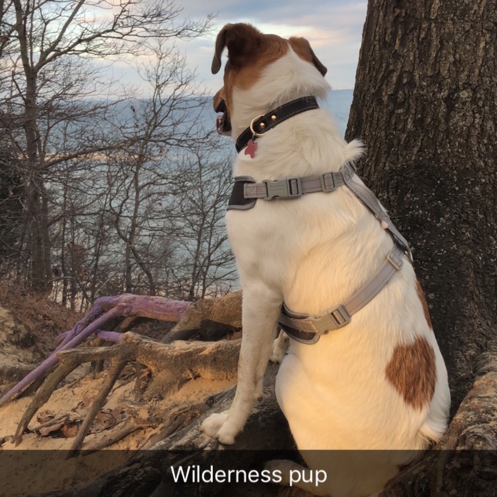 Meet your Posher, Andrew